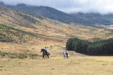 Spain-Central Spain-Gredos Escape